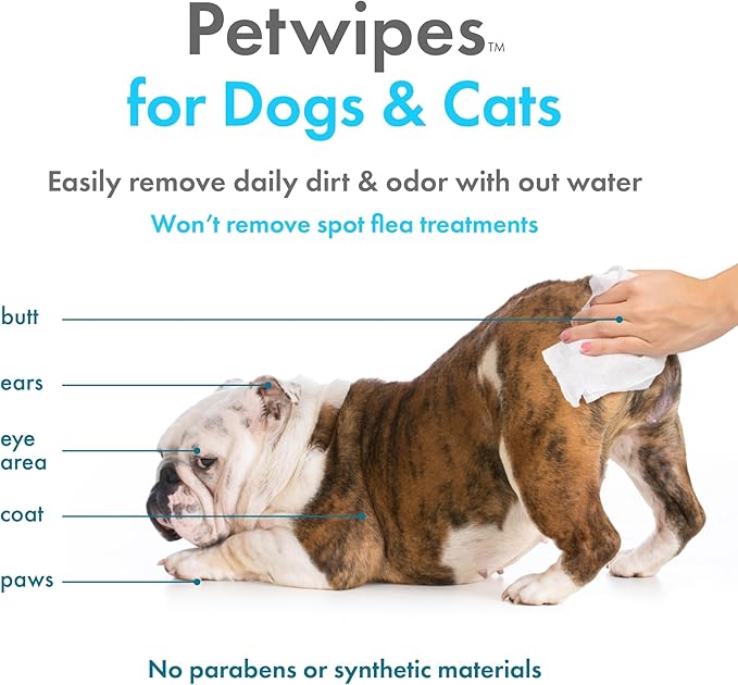 Petkin Plant-Based PetWipes, 100 Wipes, 4 Pack - Biobased, Sustainable, Big & Thick Pet Wipes for Dogs & Cats - for Face, Paws, Ears, Body & Eye Area - Consciously Cleans & Conditions - Vanilla