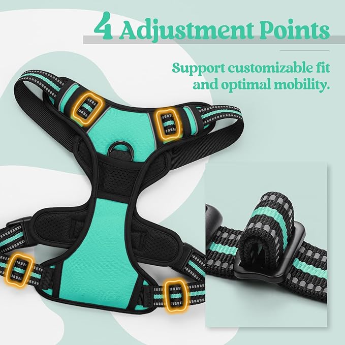 rabbitgoo Dog Harness, No-Pull Pet Harness with 2 Leash Clips, Adjustable Soft Padded Dog Vest, Reflective No-Choke Pet Oxford Vest with Easy Control Handle for Large Dogs, Turquoise, L