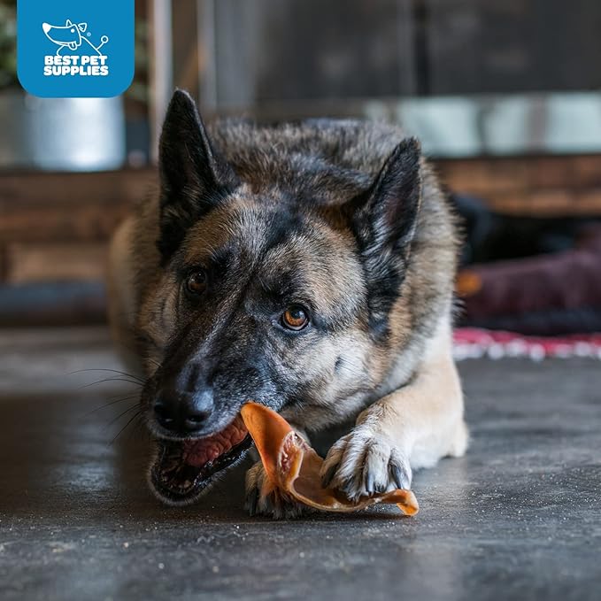 Best Pet Supplies GigaBite Half-Cut Pig Ear Dog Chews Pack of 60