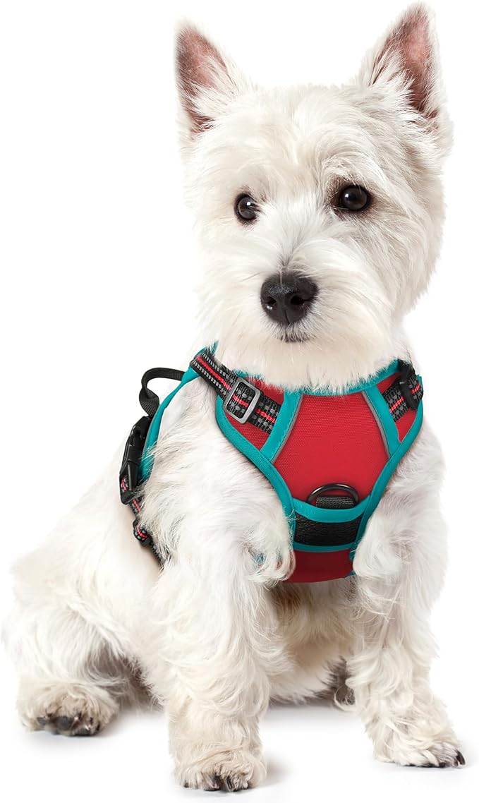 rabbitgoo Dog Harness, No-Pull Pet Harness with 2 Leash Clips, Adjustable Soft Padded Dog Vest, Reflective No-Choke Pet Oxford Vest with Easy Control Handle for Large Dogs, Red & Teal, X-Small