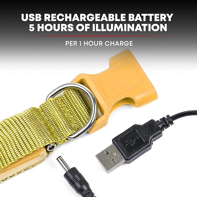 Illumiseen LED Dog Collar USB Rechargeable - Bright & High Visibility Lighted Glow Collar for Pet Night Walking - Weatherproof, in 6 Colors & 6 Sizes (Yellow Medium)