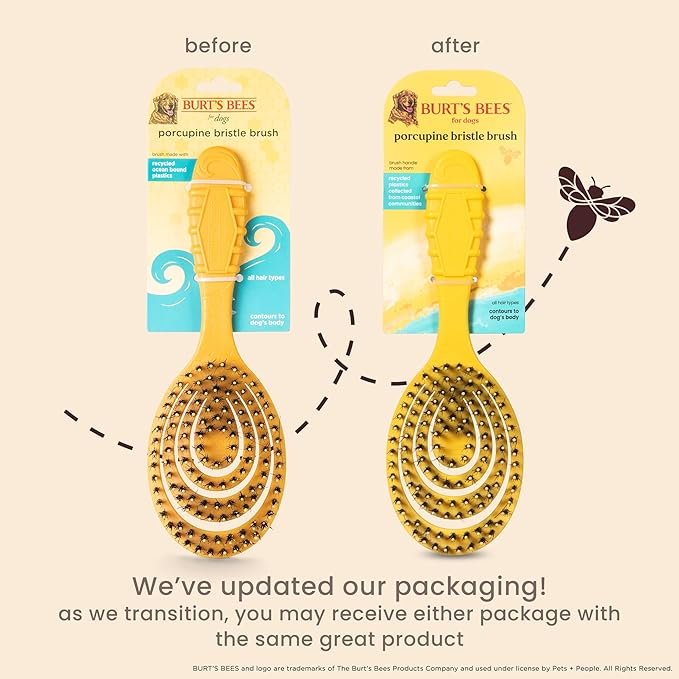 Burt's Bees for Pets Porcupine Bristle Brush, Large Dogs Hair Grooming Tool, Flex Technology, Recycled Plastics Handle, 9 Inches