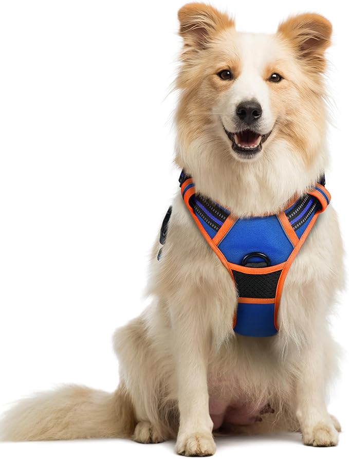 rabbitgoo Dog Harness, No-Pull Pet Harness with 2 Leash Clips, Adjustable Soft Padded Dog Vest, Reflective No-Choke Pet Oxford Vest with Easy Control Handle for Large Dogs, Blue & Orange, M