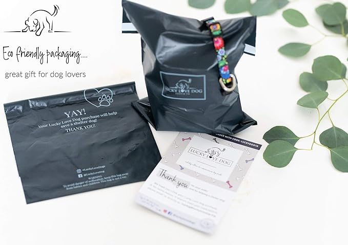 Lucky Love Dog - Easy Click Buckle Dog Collar with Leash Set Combo, Durable & Comfortable Collar for Male & Female Dogs, Pet Collar for Small to Large Dogs, Secure Fit - Ladybird Combo, Medium