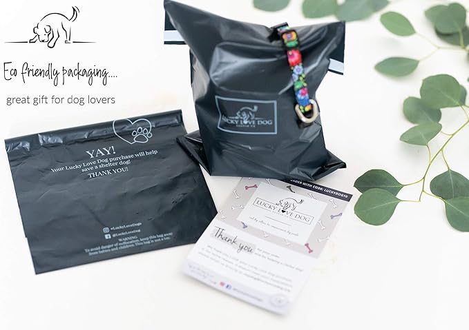 Lucky Love Dog, Colorful Stripes Dog Collar, Yellow, Pink, Blue Color Dog Collar, Cute Dog Collar for Girl Dogs - (Medium, Molly Collar)