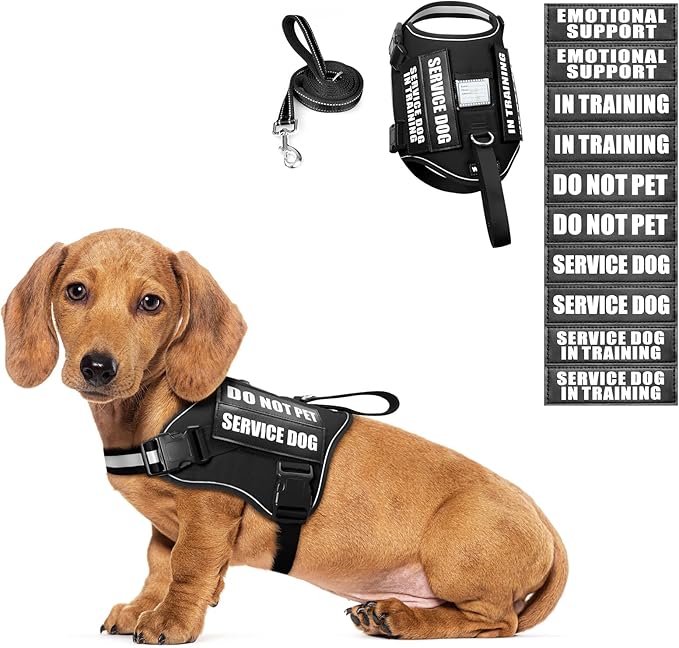 Service Dog Harness and Leash Set, Training Dog Vest with 10 Dog Patches, Emotional Support Therapy Dog Vest Harness for Small Medium Large and Extra Large Dogs(Black, XS)