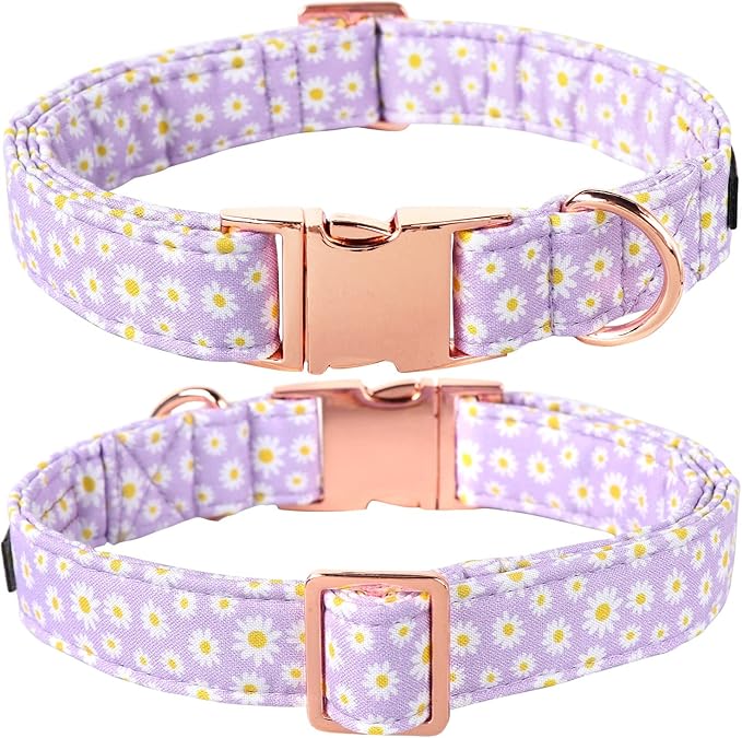 Lionet Paws Dog Collar, Comfortable Adjustable Cute Collar with Metal Buckle for Male Female Dogs Gift, Purple Daisy, XLarge, Neck 16-26 inches