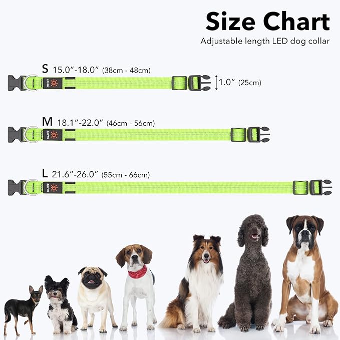 LED Dog Collar - USB Rechargeable Light Up Dog Collar Lights, Adjustable Comfortable Soft Safety Dog Collar for Night Walking (Green, Medium)