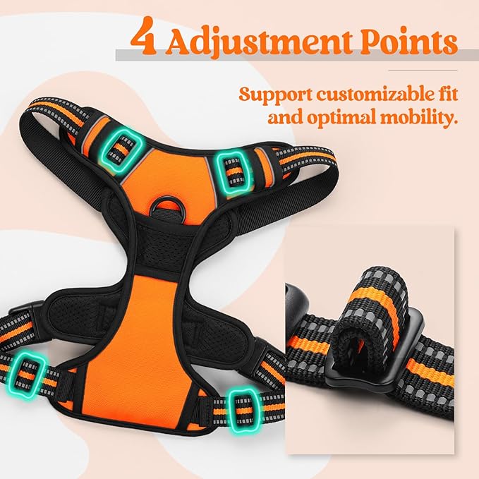 rabbitgoo Dog Harness, No-Pull Pet Harness with 2 Leash Clips, Adjustable Soft Padded Dog Vest, Reflective No-Choke Pet Oxford Vest with Easy Control Handle for Small Dogs,Orange,S