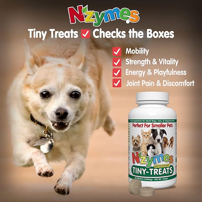 Nzymes® Antioxidant Tiny Treats - for Dogs Joints, HIPS, Paralysis, Skin, Coat, Hair Loss, Aging, Digestion, Seizures - Dog Treats for Small Dogs - 90 Treats - Made in The USA