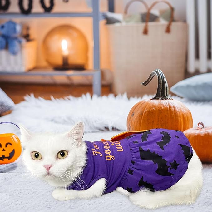Funny Puppy Dress with Bow - Small & Large Dog Halloween Costume: Pumpkin Witch Bat Pet Dress, I'm The Good Witch (X-Small)