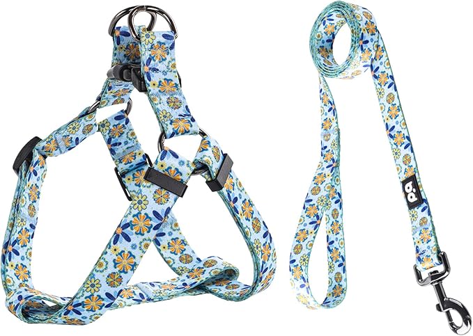 QQPETS Dog Harness Leash Set Adjustable Heavy Duty No Pull Halter Harnesses for Small Medium Large Breed Dogs Back Clip Anti-Twist Perfect for Walking