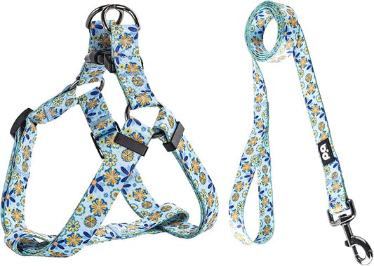 QQPETS Dog Harness Leash Set Adjustable Heavy Duty No Pull Halter Harnesses for Small Medium Large Breed Dogs Back Clip Anti-Twist Perfect for Walking