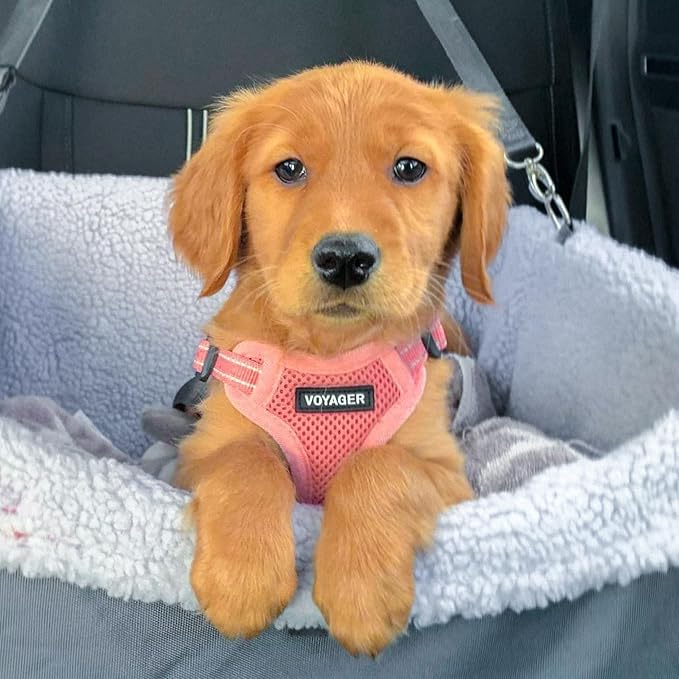 Best Pet Supplies Voyager Adjustable Dog Harness Leash Set with Reflective Stripes for Walking Heavy-Duty Full Body No Pull Vest with Leash D-Ring, Breathable All-Weather - Harness (Pink), L