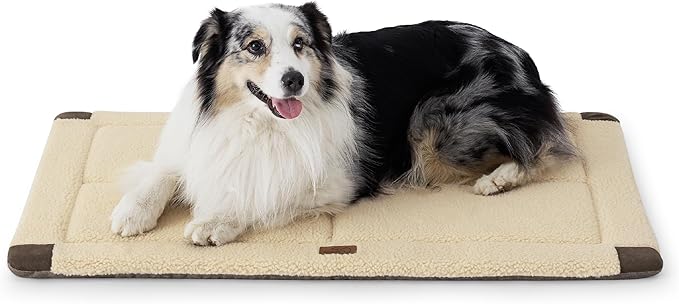 Bedsure Washable Dog Bed for Large Dog, Reversible Foam Floor Dog Mat, Lightweight Travel Flat Pet Beds for Indoor & Outdoor Dogs (44" x 32", Beige)