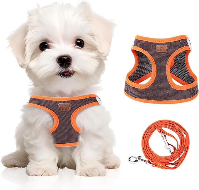 Dog Harness with Multifunction Dog Leash,No Pull Reflective Step-in Harness for Soft Adjustable No Choke Escape Proof,Easy Walk Dog Harness for Puppy,Small Dogs (Orange&Dark Grey, XXS)
