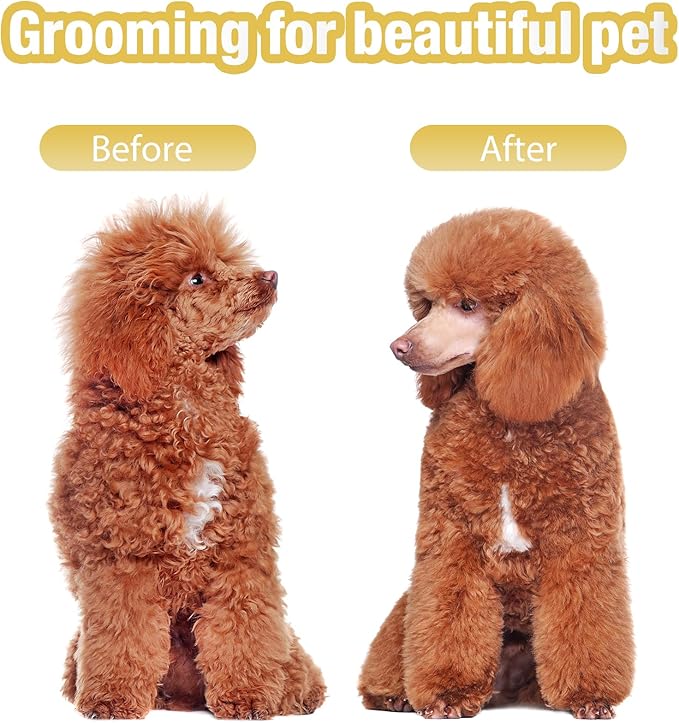 Dog Grooming Scissors Kit with Blunt Tips, 5 in 1 Professional Dog Shears for Grooming, 4CR Stainless Steel Pet Scissors, Black, Suitable for Both Hand