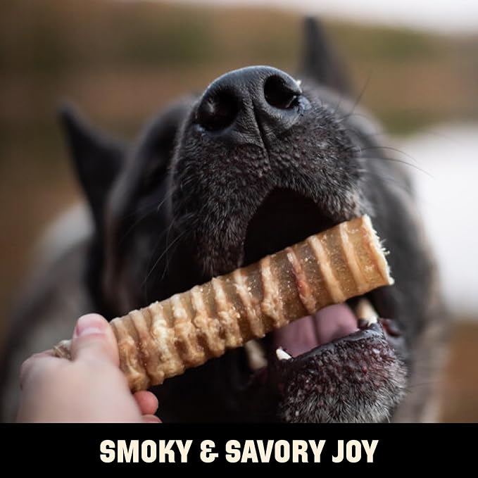 Barkworthies USA Hickory Smoked Beef Trachea 6-inch 3-Pack - Amazing Aroma, Great Taste - Natural Source of Glucosamine & Chondroitin for Hip & Joint Health, High-Protein - Natural Smoked Dog Chews