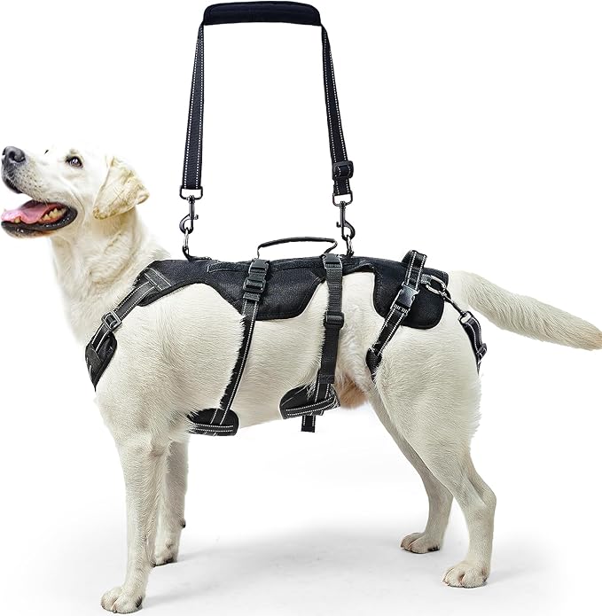 PUPTECK Dog Lift Harness for Medium Large Sized Dog, Rehabilitation Sling for Hind Leg Support, Multifunctional Mobility Assistance Harness for Old, Disabled, Joint Injuries, Arthritis, Paralysis Dogs