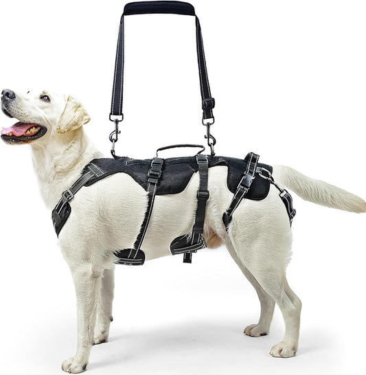 PUPTECK Dog Lift Harness for Medium Large Sized Dog, Rehabilitation Sling for Hind Leg Support, Multifunctional Mobility Assistance Harness for Old, Disabled, Joint Injuries, Arthritis, Paralysis Dogs