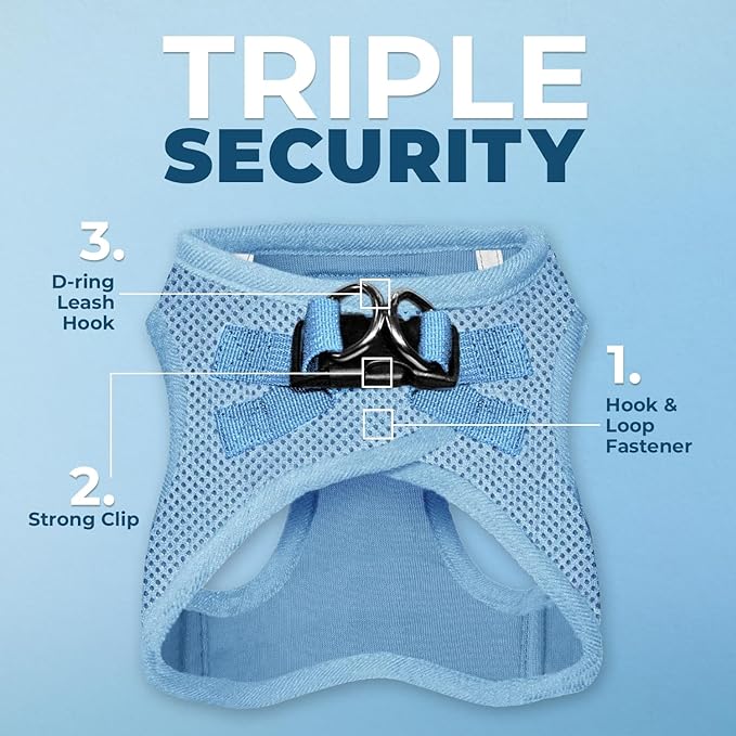 Voyager Step-In Air Dog Harness - All Weather Mesh, Reflective, No Pull Harness for Small, Medium Dogs, Cats - Secure with Hook & Loop Fastener, Buckle, Double D-Rings - Baby Blue, XXS