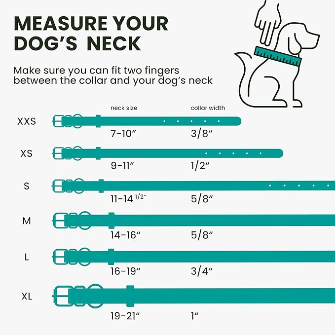 BRONZEDOG Rolled Leather Dog Collar with QR ID Tag Adjustable Soft Round Collars for Small Medium Large Dogs Puppy Cat (9" - 11" Neck Size, Turquoise)