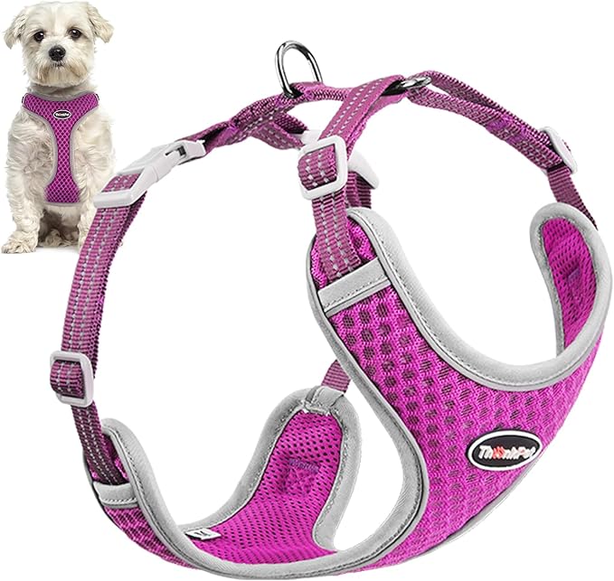 ThinkPet Harness and Leash Set Reflective Breathable Soft Air Mesh No Pull Puppy Choke Free Over Head Vest Ventilation Harness with Leash for Puppy Small Medium Dogs and Cats