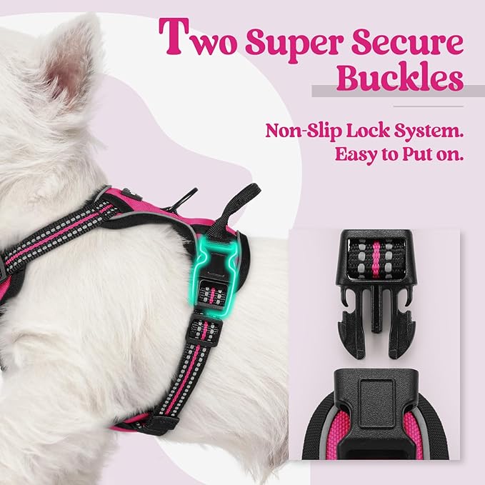 rabbitgoo Dog Harness, No-Pull Pet Harness with 2 Leash Clips, Adjustable Soft Padded Dog Vest, Reflective No-Choke Pet Oxford Vest with Easy Control Handle for Small Dogs, Hot Pink, XS