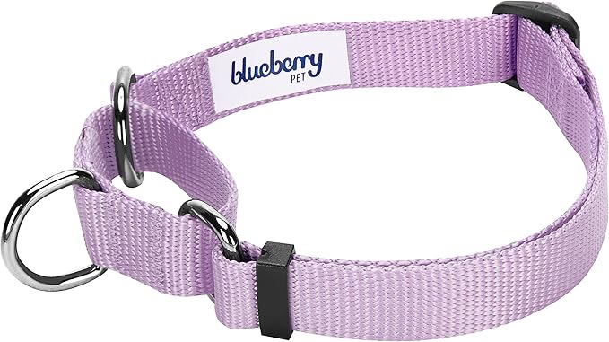 Blueberry Pet Essentials Martingale Safety Training Dog Collar, Lavender, Small, Heavy Duty Nylon Adjustable Collars for Dogs