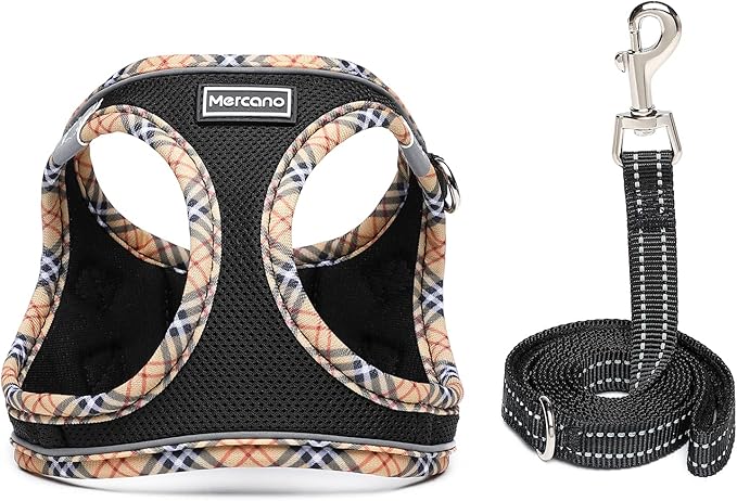 Mercano Soft Mesh Dog Harness and Leash Set, No-Chock Step-in Reflective Breathable Lightweight Easy Walk Escape Proof Vest Harnesses with Safety Buckle for Small Medium Dogs, Cats (Black Yellow, XXS)