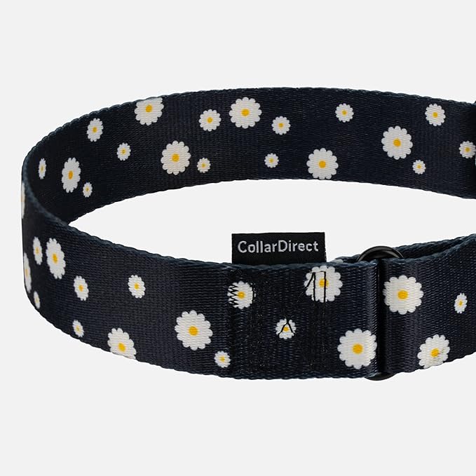 CollarDirect Martingale Collars for Dogs Heavy Duty Floral Pattern Female Safety Nylon Training Wide Collar Flower Design Large Medium (M, Neck Size 12"-17", Black)