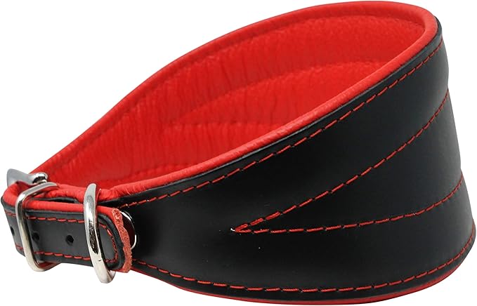 Real Leather Extra Wide Padded Tapered Dog Collar Glossy Black Greyhound Saluki Deerhound Lurcher Whippet Dachshund (8"-9.25" Neck; 1.75" Wide, Red)