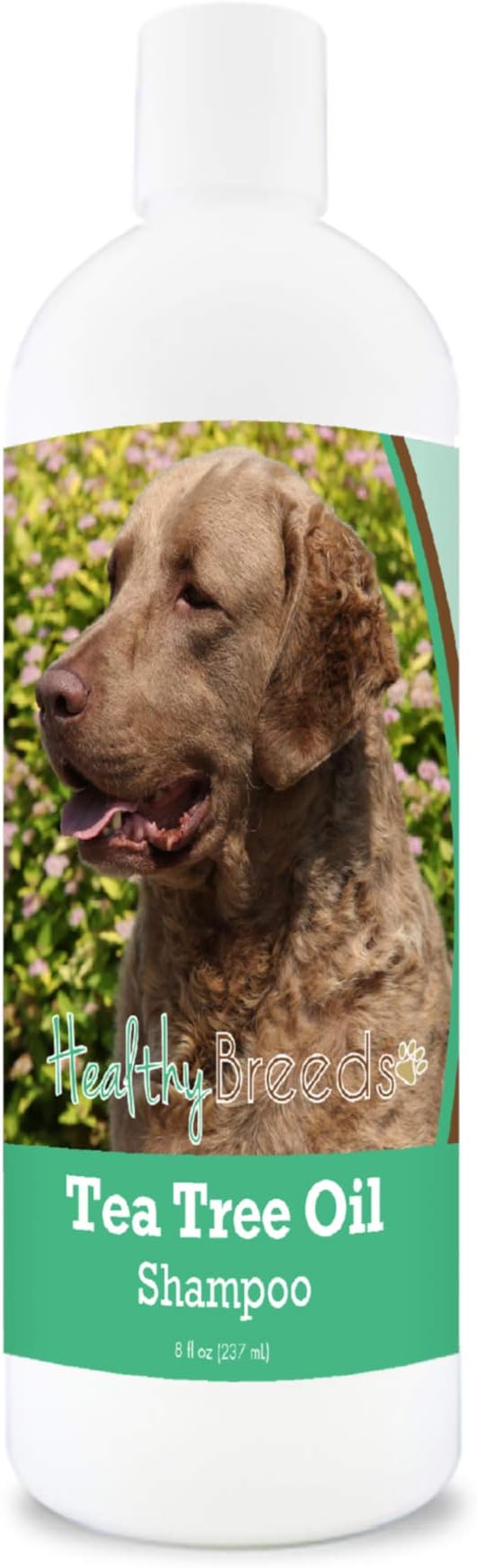 Healthy Breeds Chesapeake Bay Retriever Tea Tree Oil Shampoo – Formulated for Dry, Irritated Skin – Reduce Dandruff – Wintergreen Scent – 8 oz