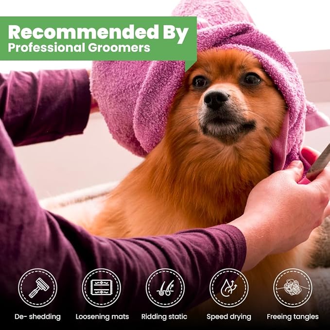 Best Shot Scentament Spa Seasonal Facial & Body Wash, Exotic Island, 16 oz