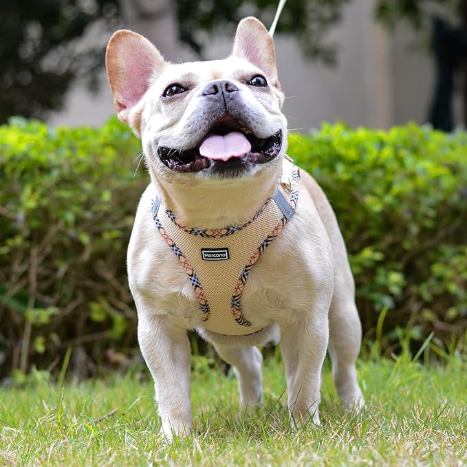 Mercano Soft Mesh Dog Harness and Leash Set, No-Chock Step-in Reflective Breathable Lightweight Easy Walk Escape Proof Vest Harnesses with Safety Buckle for Small Medium Dogs, Cats (Beige, XL)