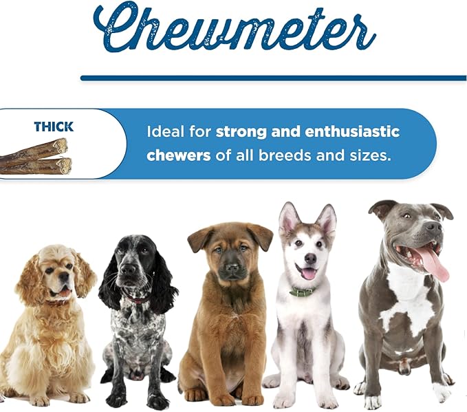 Best Bully Sticks All Natural 12 Inch Thick Bully Sticks for Large Dogs - 100% Free-Range Grass-Fed Beef - Single-Ingredient Grain & Rawhide Free Dog Chews - 10 Pack