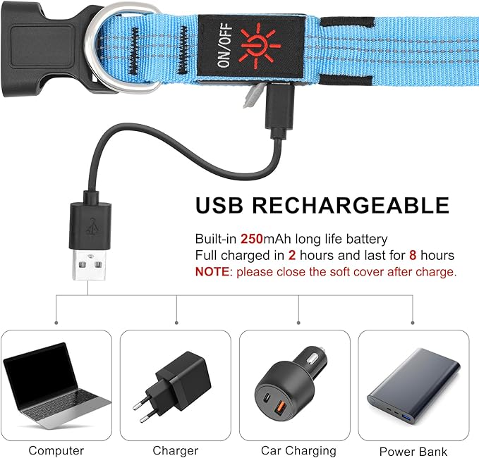BSEEN Light Up Dog Collars - Glowing LED Dog Collar, Reflective Puppy Collar, Adjustable Lighted Dog Collar, Rechargeable Pet Collar for Night Walking (Blue-II, Small)
