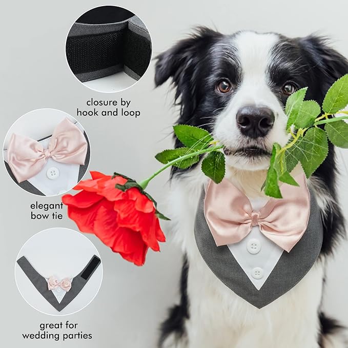 FUAMEY Dog Tuxedo,Formal Dog Wedding Bandana Dog Collar with Bow Tie Dog Birthday Costume Adjustable Pet Party Tux Dog Wedding Attire,Dog Valentines Outfit Cosplay for Small Medium Large Pets Grey L