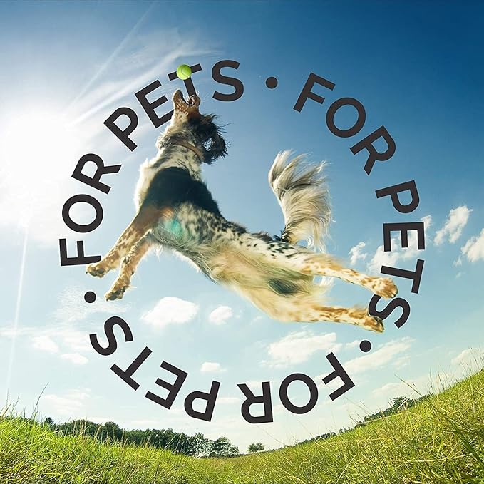 Bark2Basics in Between Clean Waterless Shampoo, 16 oz - No Water Needed, Dry, Natural Ingredients, Cleans and Freshens, Great for Spot Removal and Touch Ups, Professional Grade