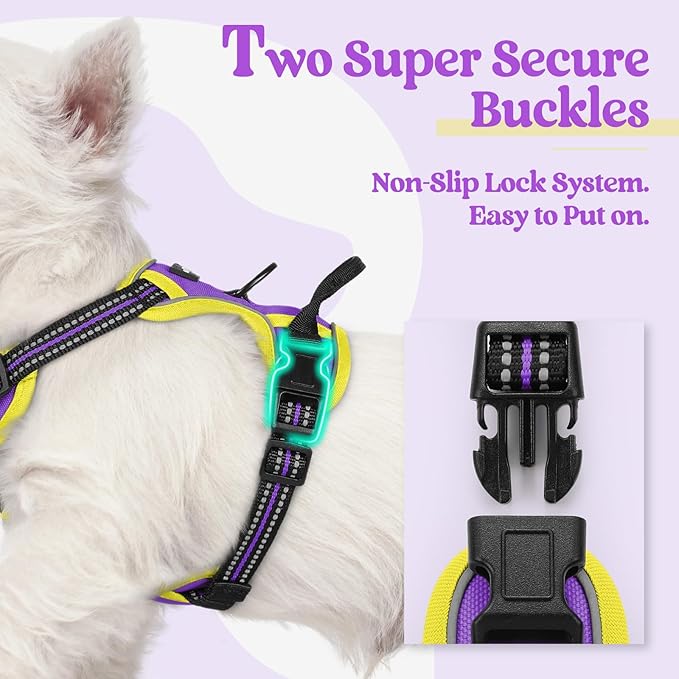rabbitgoo Dog Harness, No-Pull Pet Harness with 2 Leash Clips, Adjustable Soft Padded Dog Vest, Reflective No-Choke Pet Oxford Vest with Easy Control Handle for Large Dogs, Purple & Yellow, XS