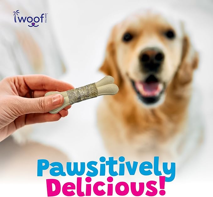 Coconut Mango Dog Bones - Long Lasting Natural Dog Treats - Dog Bones Rawhide Free Dog Chews - Long Lasting No Hide Dog Chews for Small Medium Large Dogs - Raw Hide Free Dog Chew (1 Pack)