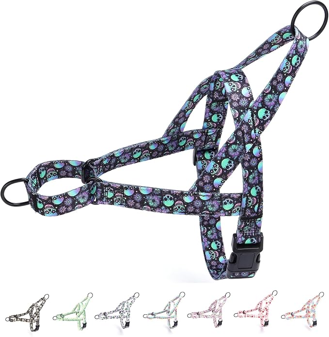 No Pull Dog Harness for Small, Medium, and Large Pets - Floral Pattern Nylon Safety Training Dog Harness (S, Skull)