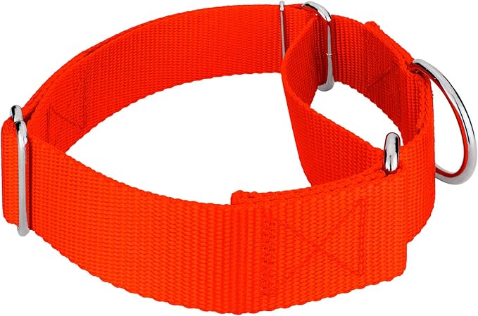 Country Brook Petz 1 1/2 Inch Martingale Heavy Duty Nylon Adjustable Dog Collar for Small, Medium, Large Breeds - Vibrant 17 Color Selection (Hot Orange, Large)