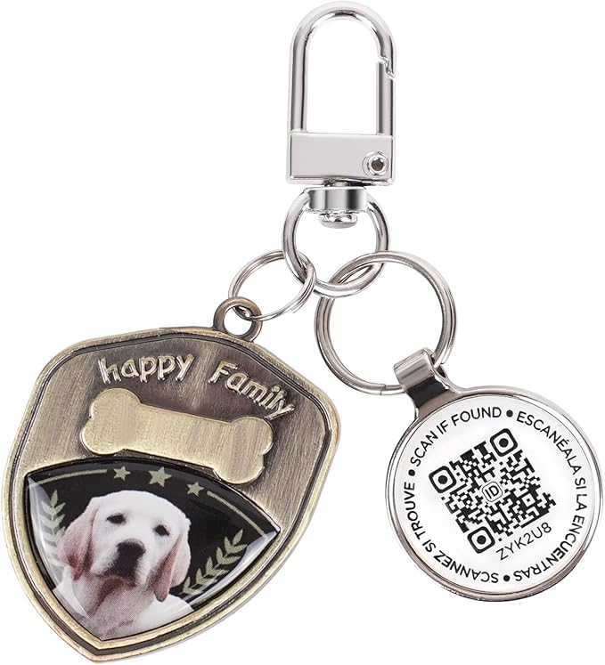Dog Tags Personalized QR Code Dog Tags, Retro Brass Personalized Pet ID Tags Modifiable Pet Online Profile, Multiple Emergency Contact, (Labrador Retriever-2)