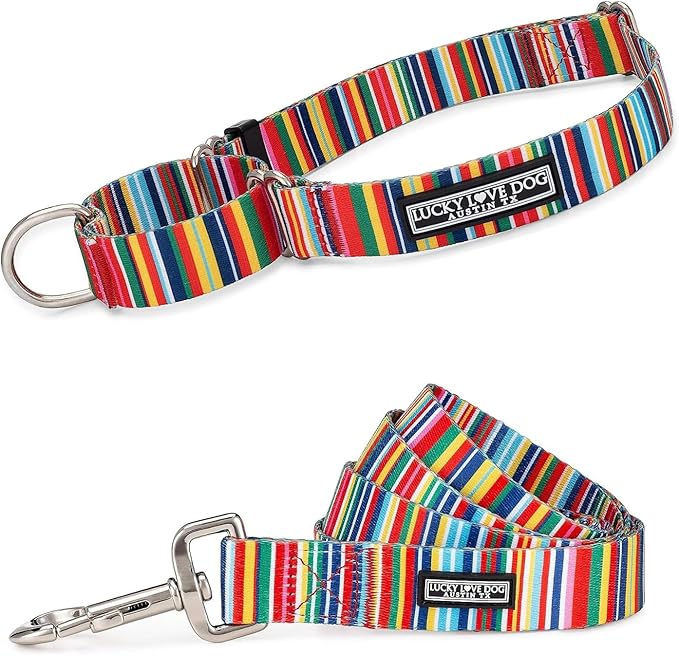 Lucky Love Dog Martingale Collar and Leash Set, Premium No Slip Collar and Leash Set, Colorful Hippie Martingale Collar for Small Dogs, Great for Whippets, Greyhounds, and More (Hippie, Small - Combo)
