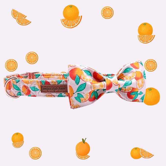 Unique style paws Dog Collar, Girl or Boy Dog Bow Tie, Bowtie Dog Collar Pet Collar for Small Memium Large Dogs