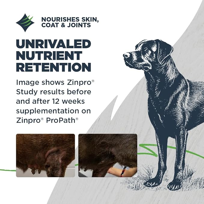 Blackwood Lean/Senior Dry Dog Food, Chicken Meal with Ancient Grains, 10 Pound Bag for Weight Management and Muscle Mass Maintenance