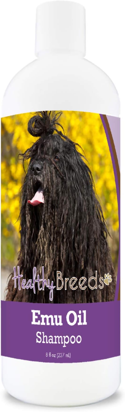 Healthy Breeds Bergamasco Emu Oil Shampoo - Gentle Cleanser That Provides Soothing Relief of Inflammation While Restoring Moisture Balance - Fruity Scent - 8 oz