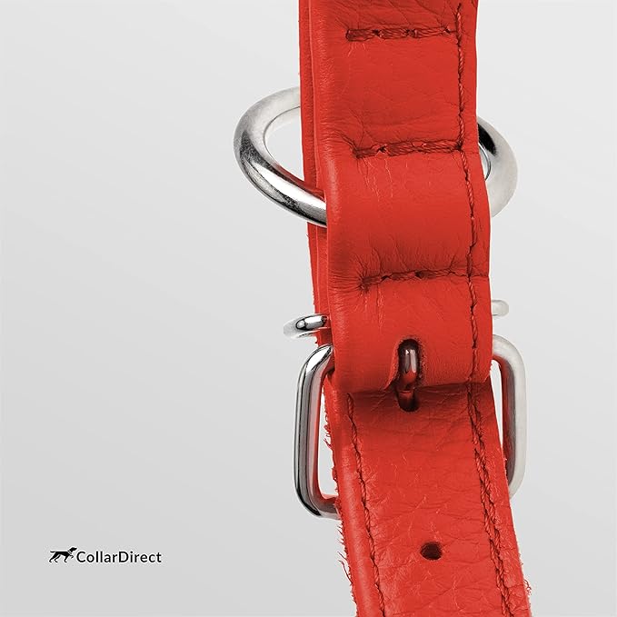 CollarDirect Rolled Leather Dog Collar, Soft Padded Round Puppy Collar, Handmade Genuine Leather Collar Dog Small Large Cat Collars 13 Colors (12-15 Inch, Red Textured)