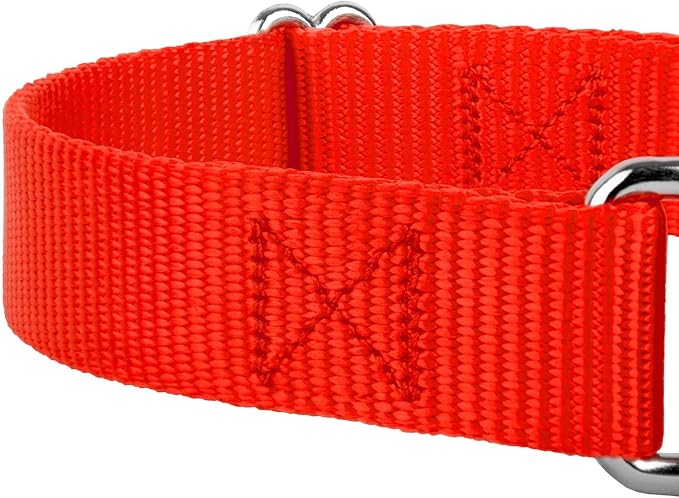 Country Brook Petz 1 1/2 Inch Martingale Heavy Duty Nylon Adjustable Dog Collar for Small, Medium, Large Breeds - Vibrant 17 Color Selection (Hot Orange, Extra Large)